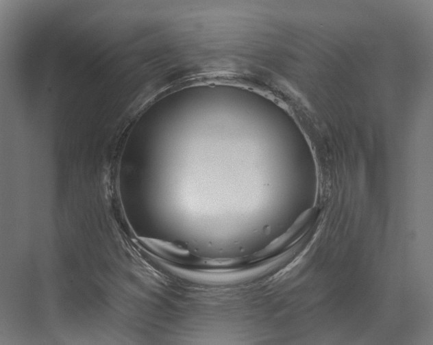 X0000073851353200608171022