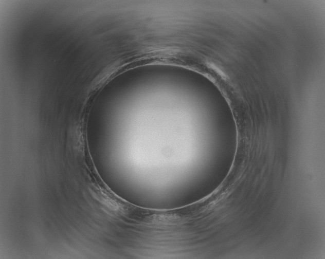 X0000073851354200608171022