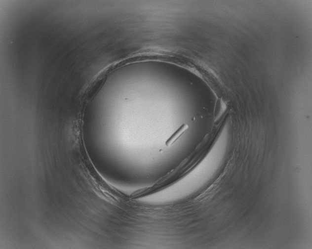 X0000073851355200608171022