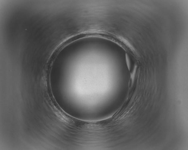 X0000073851356200608171022