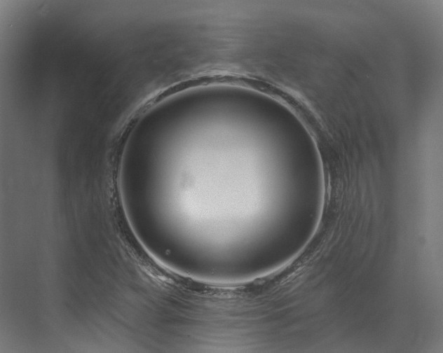 X0000073851359200608171022