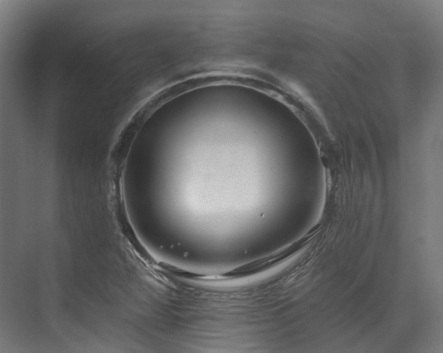 X0000073851360200608171022