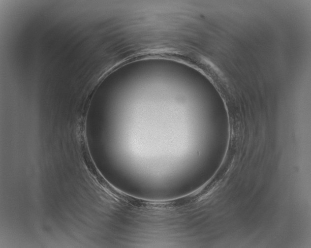 X0000073851361200608171022