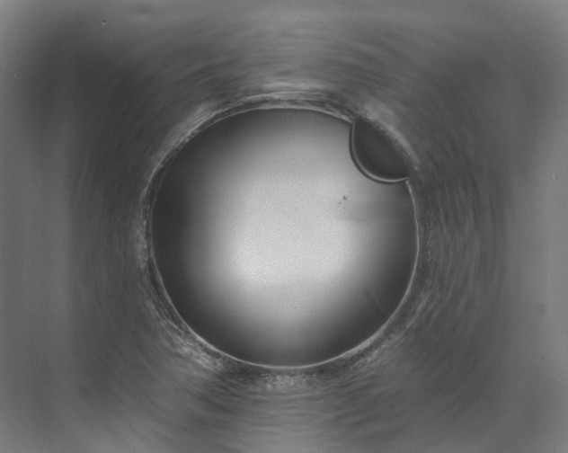 X0000073851362200608171022