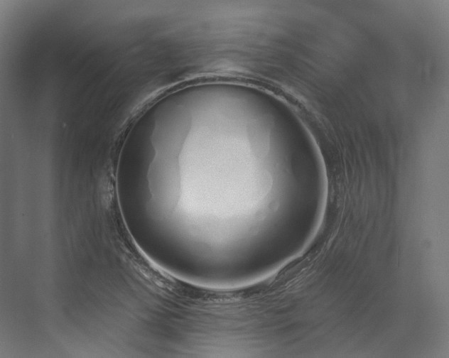 X0000073851363200608171022