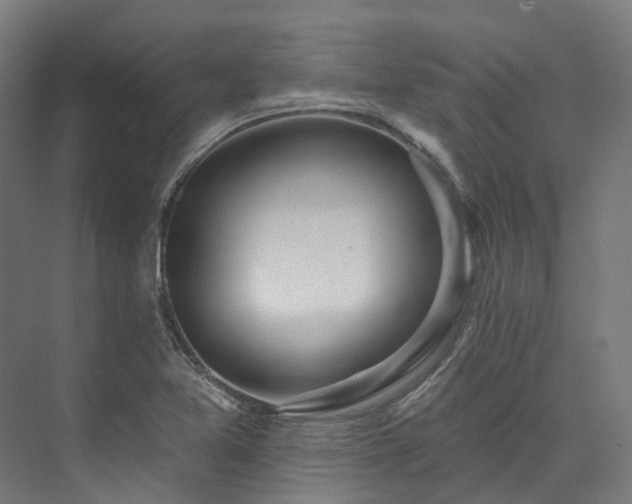 X0000073851365200608171022