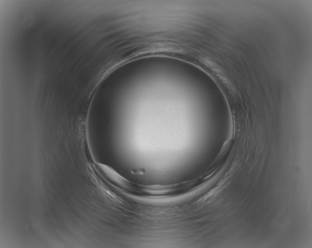 X0000073851369200608171022