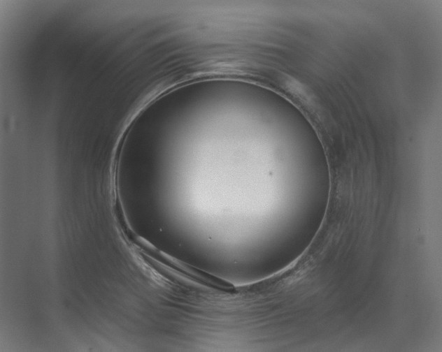 X0000073851370200608171022