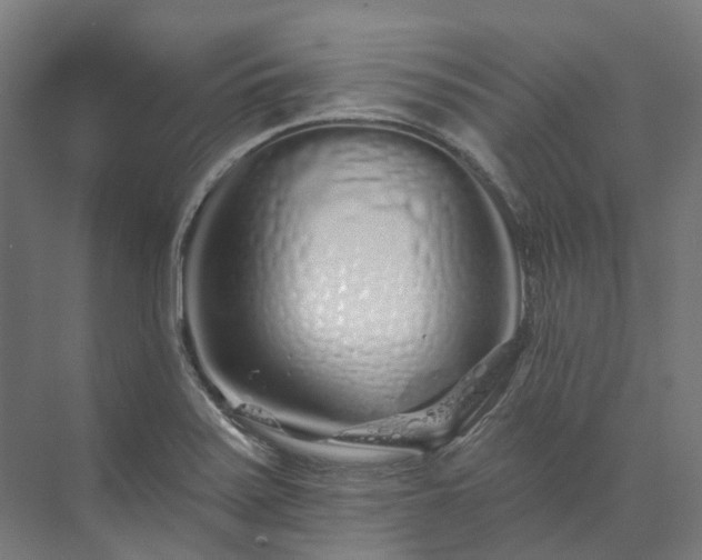 X0000073851371200608171022