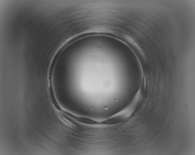 X0000073851372200608171022