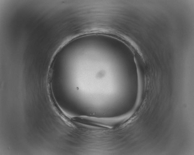 X0000073851373200608171022