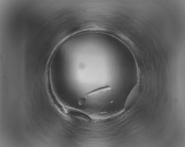 X0000073851375200608171021