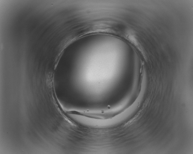 X0000073851377200608171021