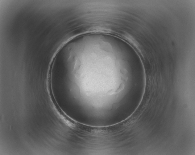 X0000073851379200608171021