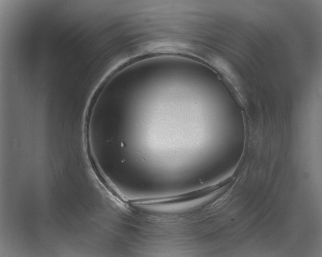 X0000073851384200608171021