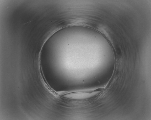 X0000073851386200608171021