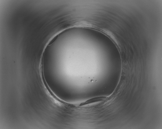 X0000073851387200608171021