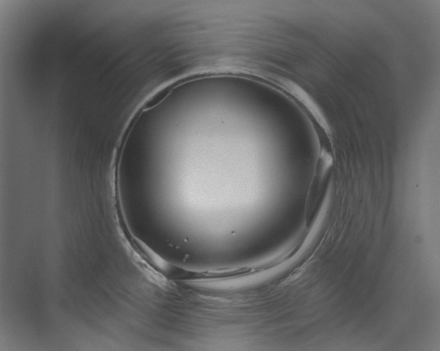 X0000073851388200608171021