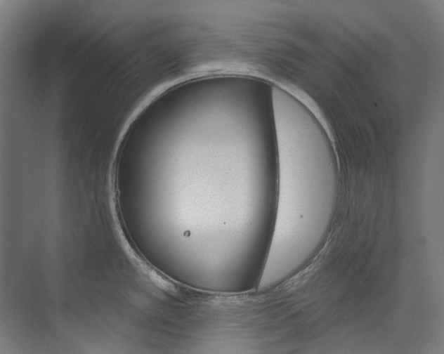 X0000073851389200608171021