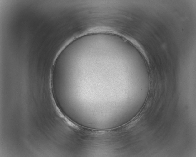 X0000073851390200608171021