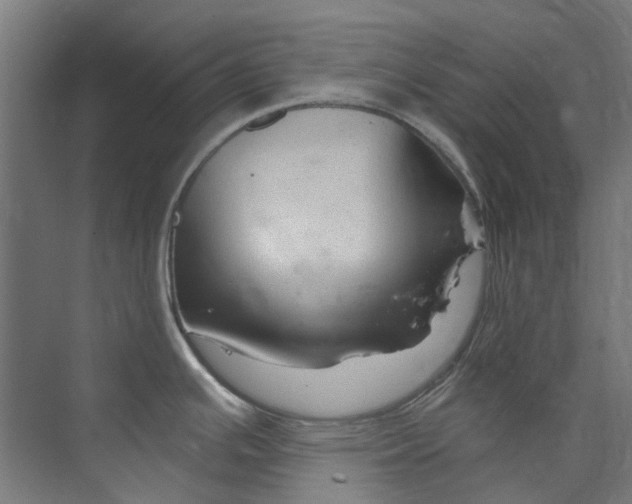 X0000073851391200608171021