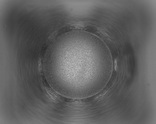 X0000073851395200608171020