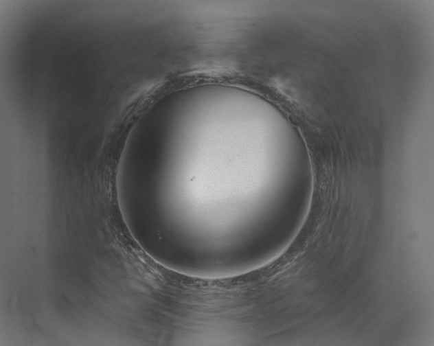 X0000073851398200608171020