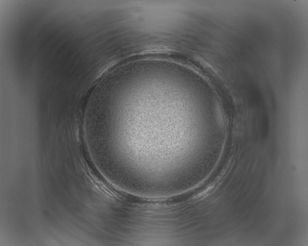 X0000073851401200608171021