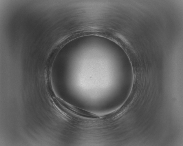 X0000073851402200608171021