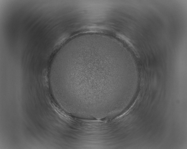 X0000073851403200608171021