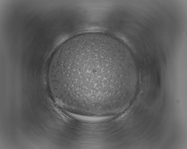 X0000073851405200608171021