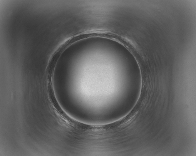 X0000073851406200608171021