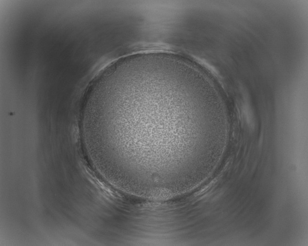 X0000073851407200608171021