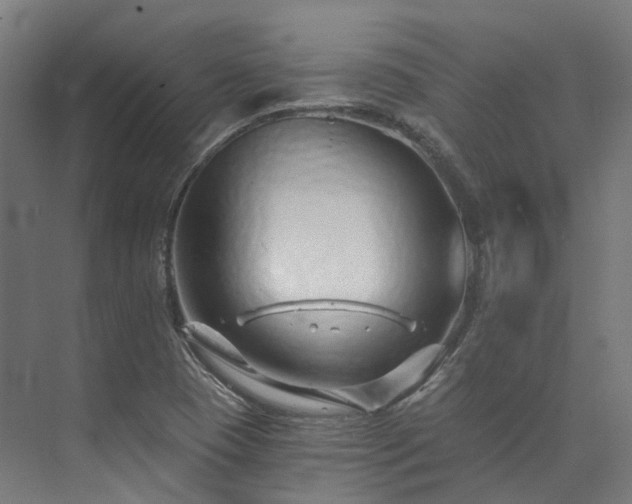 X0000073851409200608171021