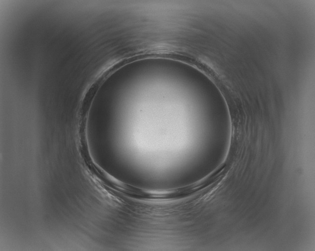 X0000073851410200608171021