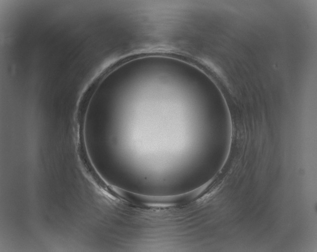 X0000073851414200608171021