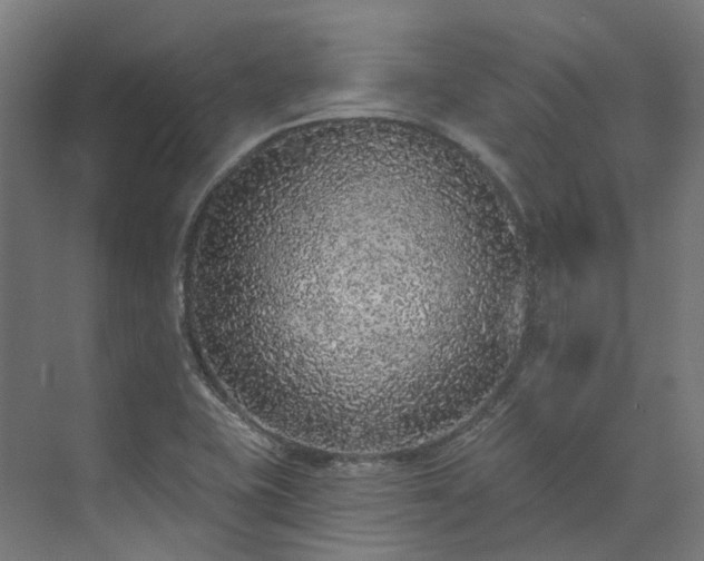 X0000073851415200608171021