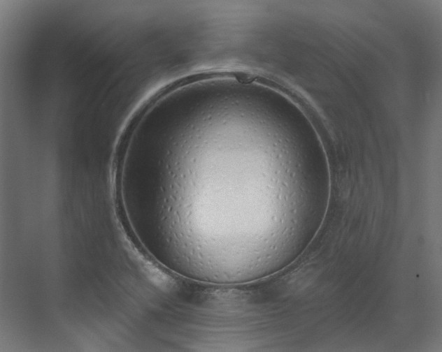 X0000073851416200608171021