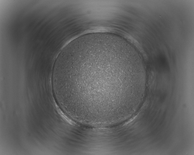 X0000073851417200608171021