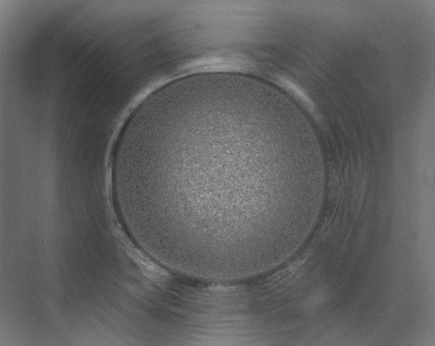 X0000073851419200608171021