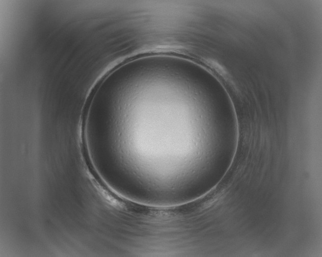 X0000073851420200608171021