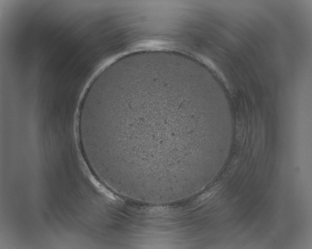 X0000073851421200608171021