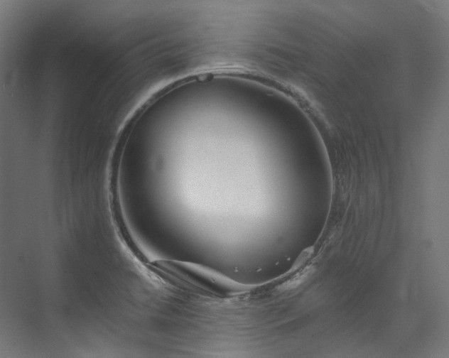 X0000073851422200608171021