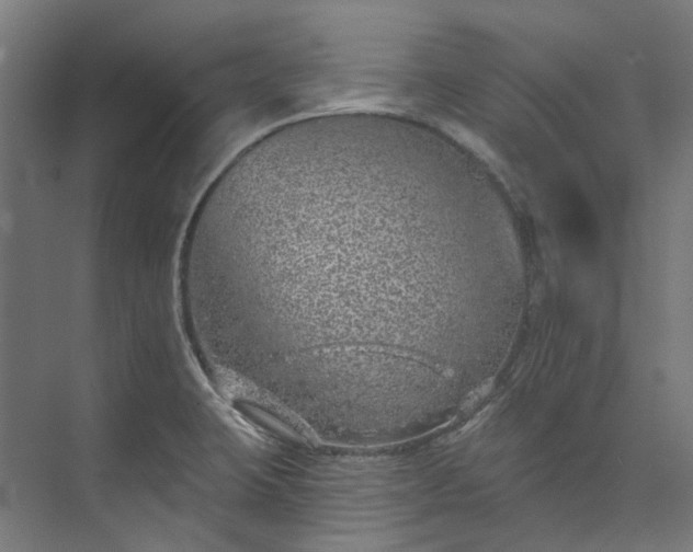 X0000073851423200608171021