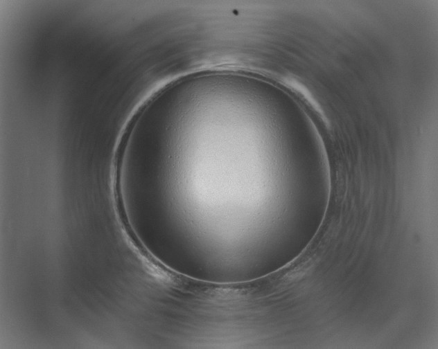 X0000073851424200608171021