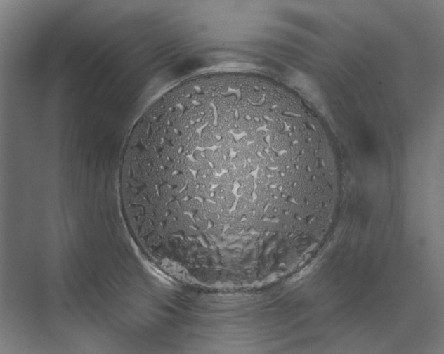 X0000073851425200608171021