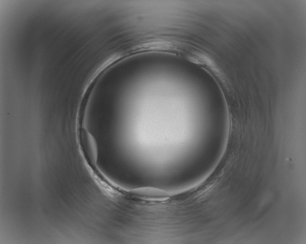 X0000073851426200608171021