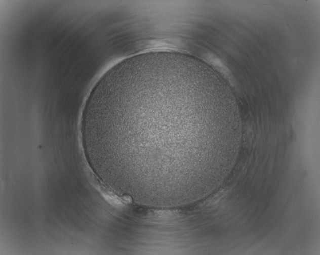 X0000073851427200608171021