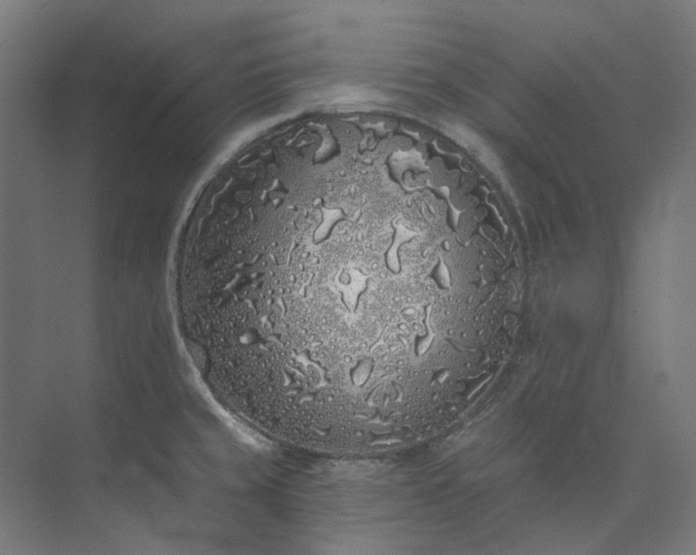 X0000073851429200608171021