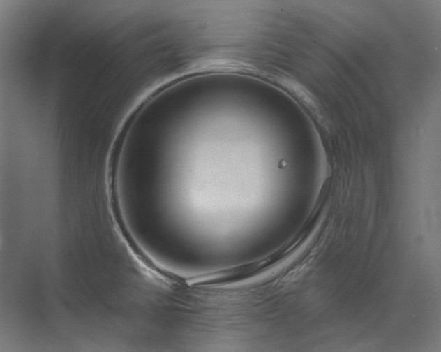 X0000073851430200608171021